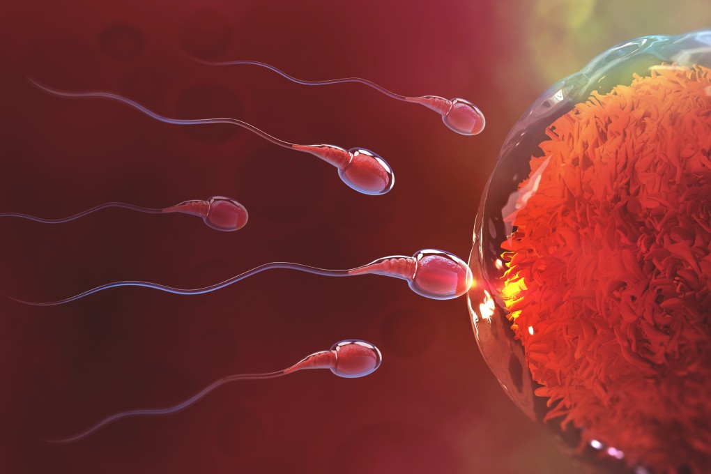 When a couple can’t conceive, male infertility is as likely as female infertility to be the cause. Men need to think about developing healthy sperm months before they consider trying to father a baby, doctors say.  Photo: Shutterstock