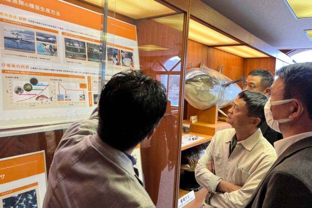 Jack Ma, founder and former chairman of Alibaba Group Holding, at the Oshima station of the Kindai University’s Aquaculture Research Institute in Wakayama prefecture on the southernmost tip of Japan’s Honshu island. Photo: Handout