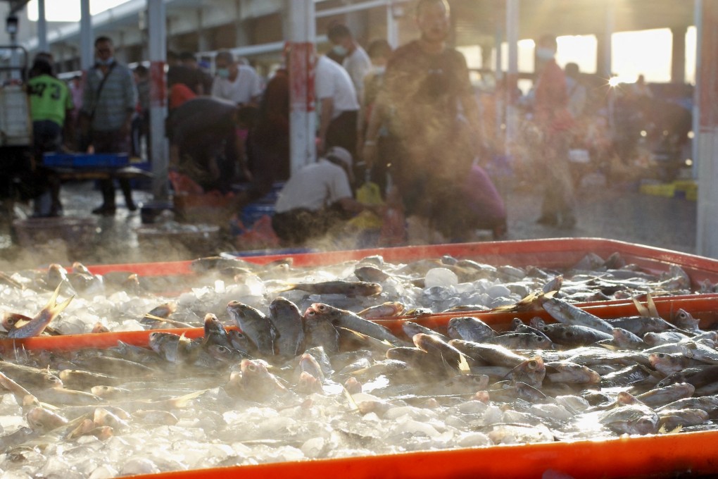 Fish shipped to mainland China from Taiwan, some of it pre-packaged, reached just 912 tonnes in September, down from around 18,470 tonnes compared to a year earlier. Photo: AFP