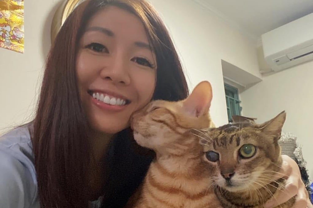 Pets can help their owners better deal with serious diseases such as cancer, and painful treatments. Cindy Cheng in Hong Kong with her cats, the evening before she began chemotherapy. Photo: Cindy Cheng