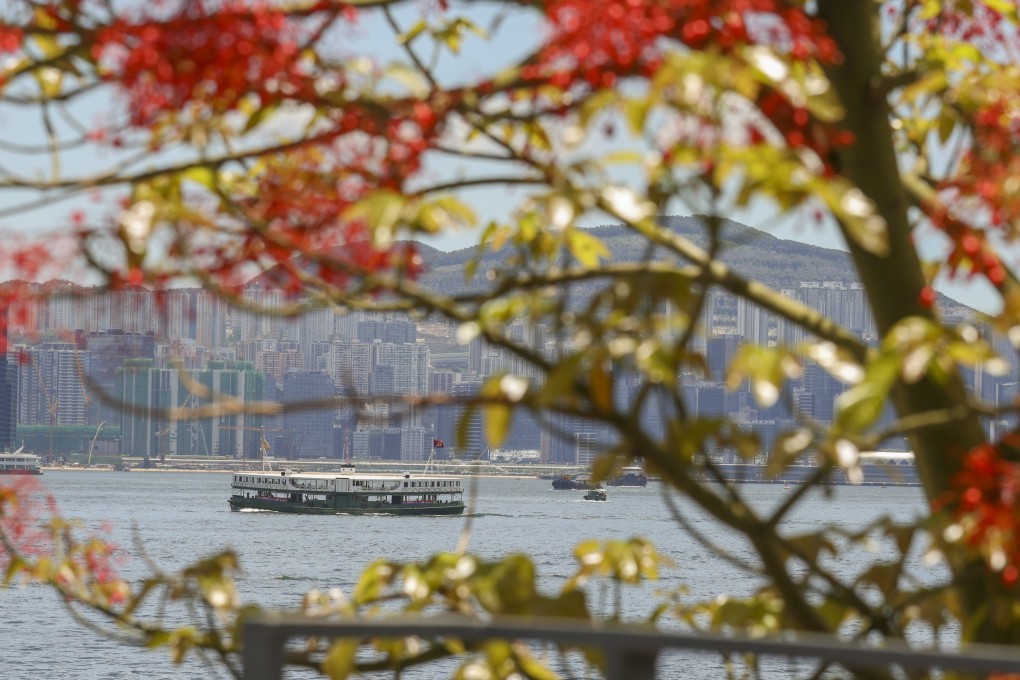 A Star Ferry sails across Victoria Harbour in July. The ferry operator wants to double fares on two routes across Victoria Harbour in the wake of a fall in passenger numbers and income. Photo: Nora Tam