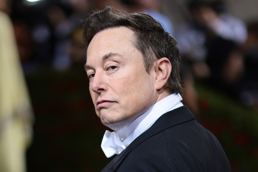 Elon Musk. File photo: TNS