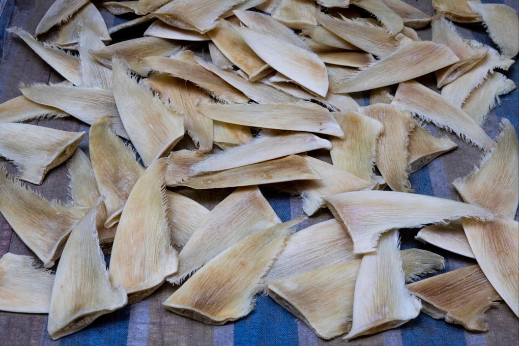 Shark fins are laid out on a tarp outside a shop in Hong Kong in November. Photo: AFP