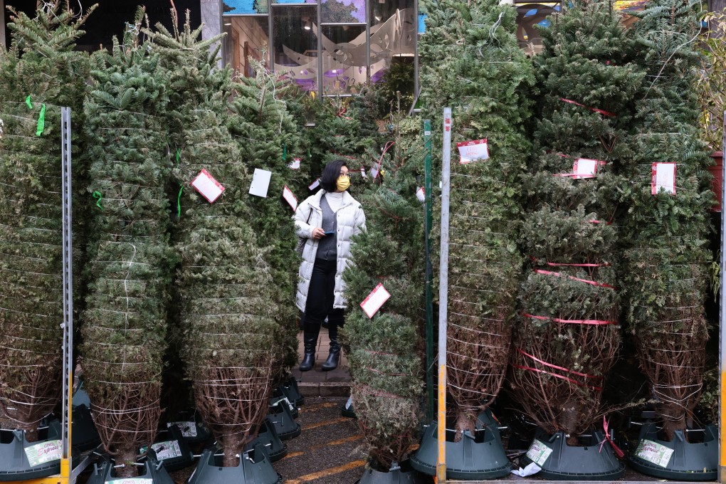 Christmas trees on sale at Flower Market in Prince Edward. Photo: May Tse