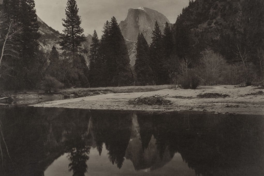 Slow photography: delicate, painterly forest landscapes of Japan's