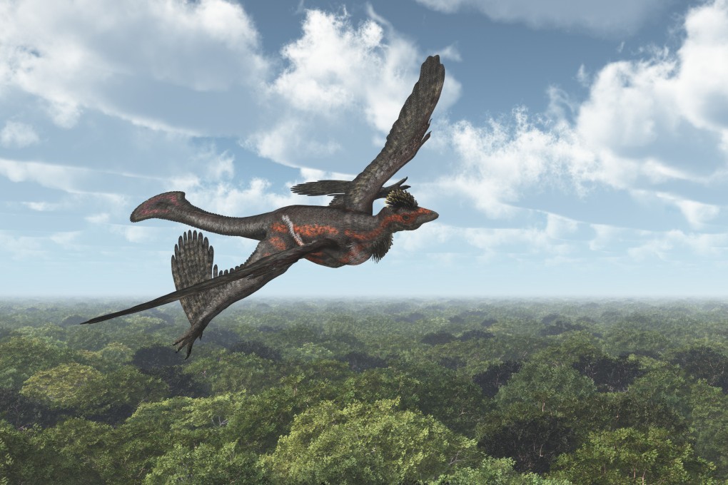 Using laser technology, an international team of researchers has teased new secrets out of China’s trove of dinosaur fossils. Photo: Shutterstock Images