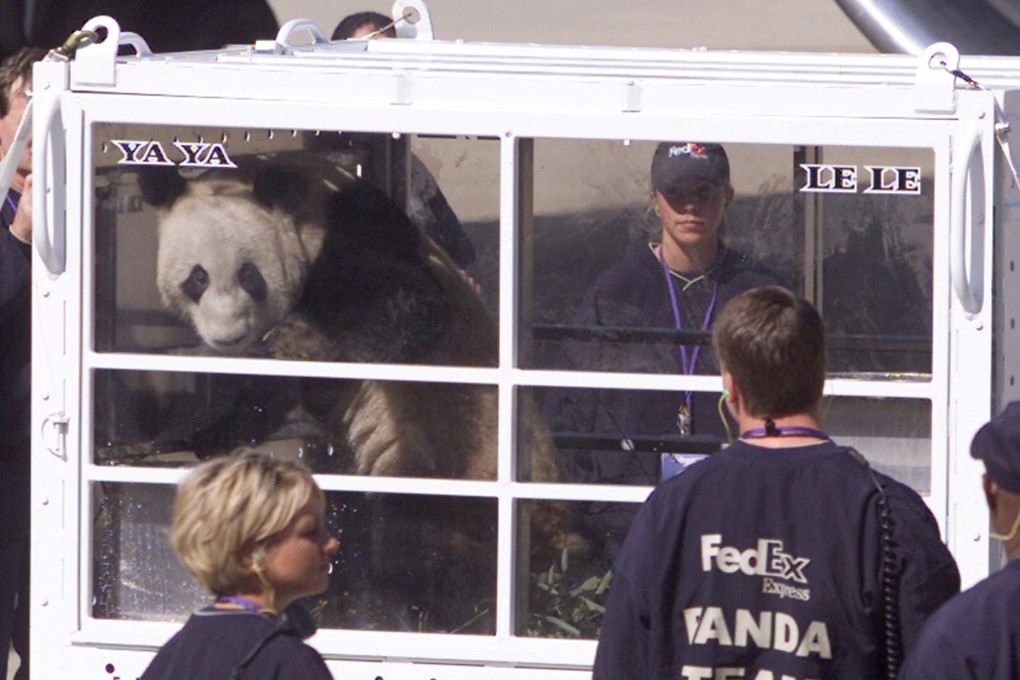 Two-year-old female panda Ya Ya arrives in Memphis, Tennessee on loan from Beijing, China in 2003. Ya Ya and another panda, Le Le, are being returned to China. Photo: Reuters