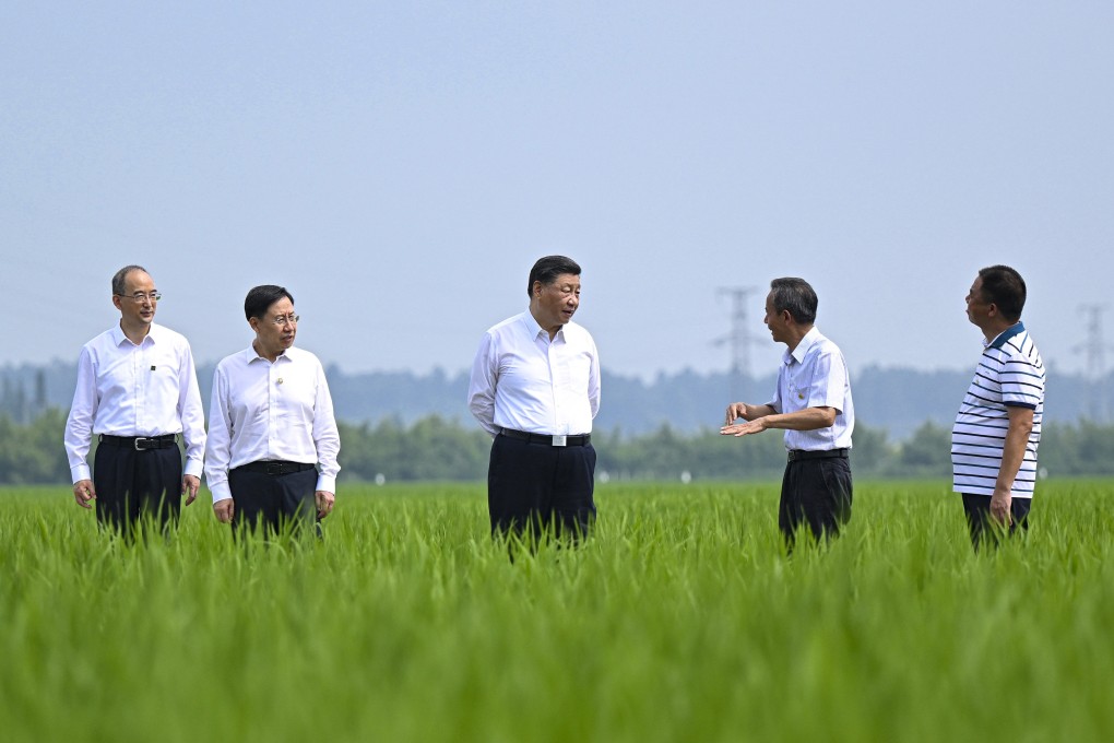 Chinese President Xi Jinping (centre) is updated on local efforts to boost farmland development, grain production and rural revitalisation, as well as anti-pandemic measures, in southwest China’s Sichuan province in June. Photo: Xinhua