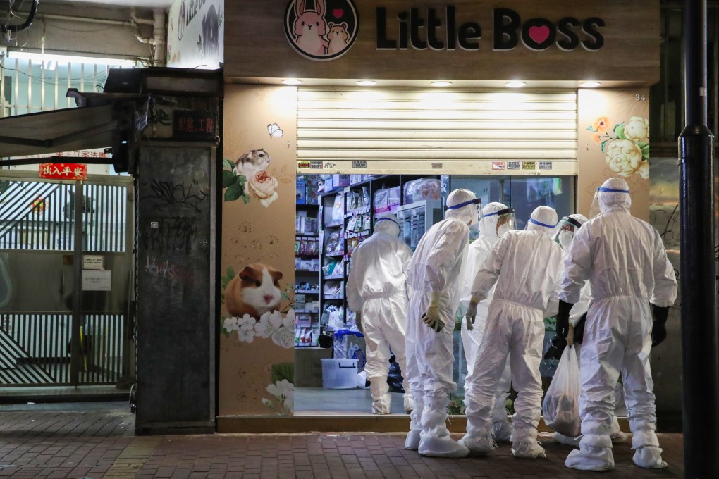 Government staff in January last year investigate Covid transmission from hamsters at a pet shop. Photo: Edmond So