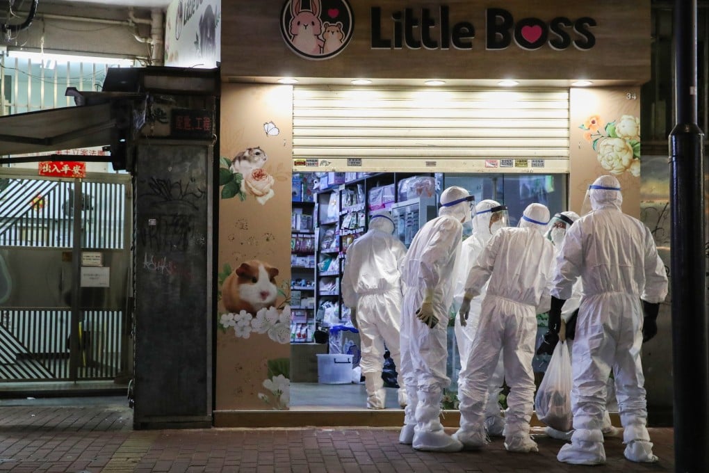 Government staff in January last year investigate Covid transmission from hamsters at a pet shop. Photo: Edmond So