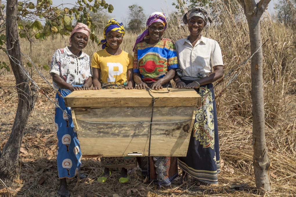 Wildlife populations are growing in Malawi’s Liwonde National Park, after management started engaging with local human communities. Above: locals sell honey at the park. Photo: Daniel Allen