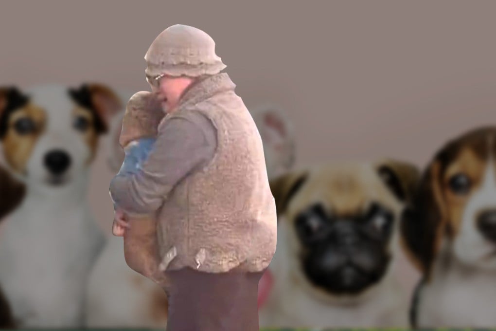 A video clip of a Chinese woman’s emotional reunion with her dog after spending US$887 on a pet detective to find it has been watched, shared or commented on by 50 million people online. Photo: SCMP Composite