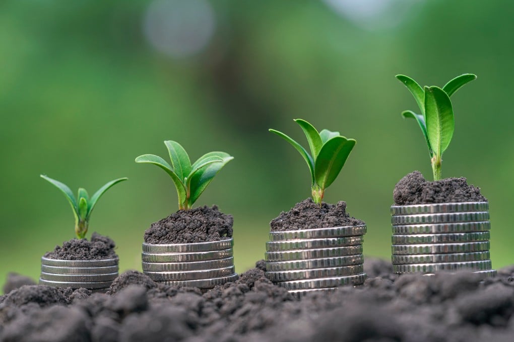 China’s green finance market is set to grow rapidly and reach US$10.4 trillion by 2031, according to UBS. Photo: Shutterstock
