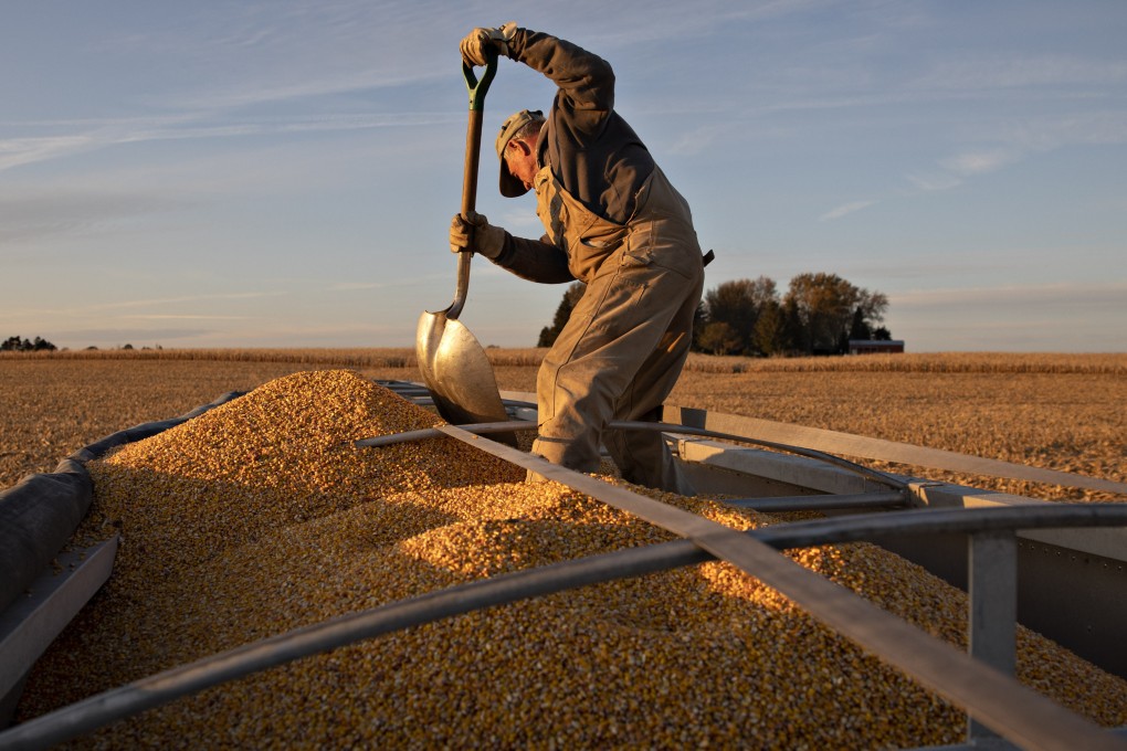 A farmer shovels corn inside a semitrailer during a harvest in Buda, Illinois, U.S., soybeans, pork, corn and beef.on Tuesday, Nov. 5, 2019. The US Department of Agriculture reports that the ‘phase one’ trade deal had helped keep China a leading market for several commodities. Photo: Bloomberg