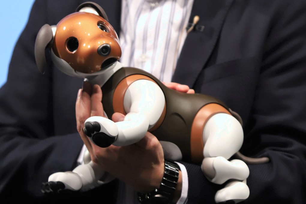 They may feel they are being watched': tech's growing use to monitor Asia's  elderly – robot carers, CCTV, GPS tags – prompts privacy concerns | South  China Morning Post