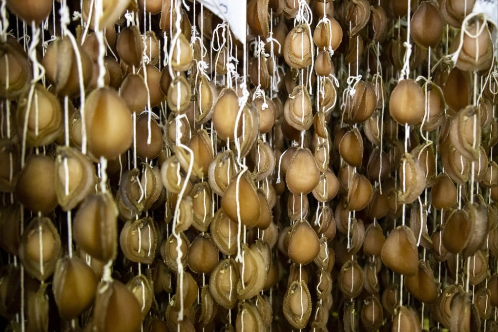 Abagold uses a Japanese technique to dry abalone over three weeks that is under a locked security system, South Africa, November 2022.

CREDIT: Linda Givetash