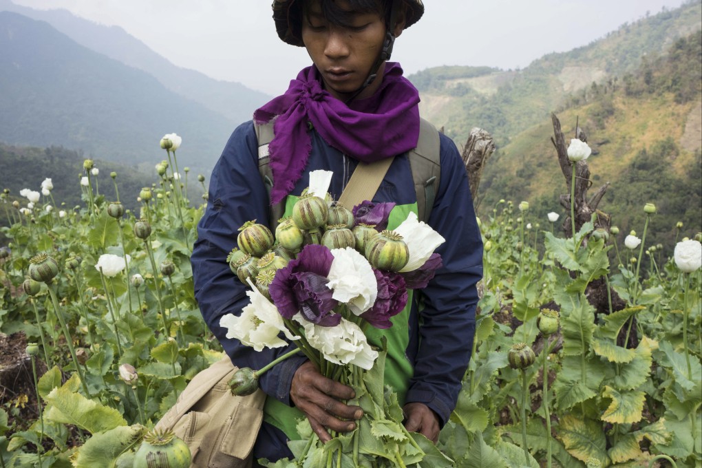 A member of Pat Jasan, a grassroots organisation motivated by faith to root out the destructive influence of drugs, holds a bunch of poppies. Photo: AP