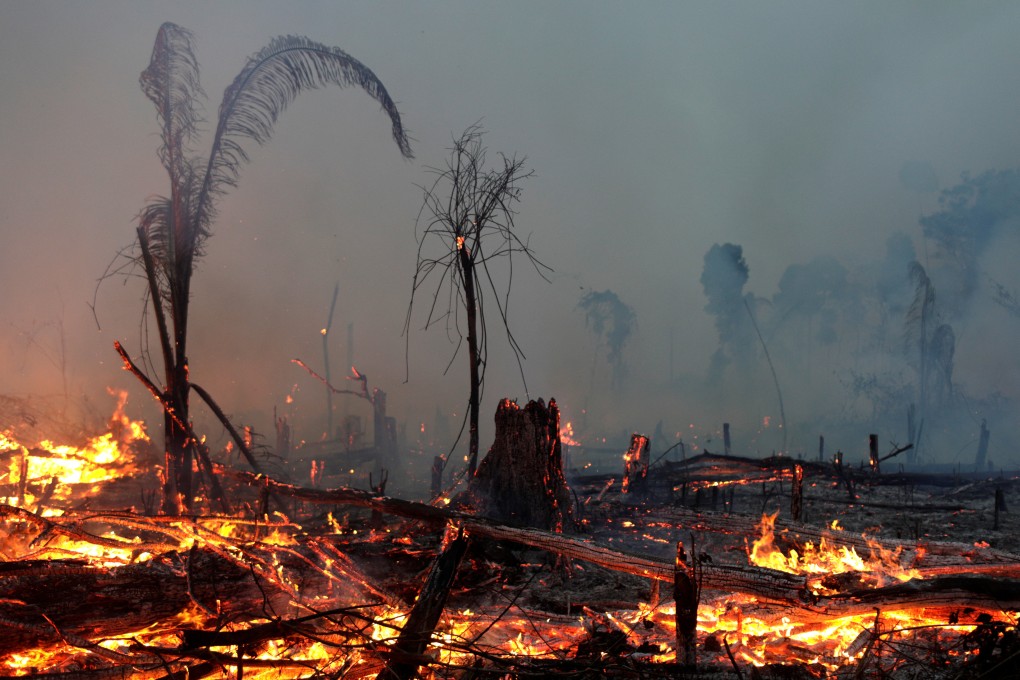 A fire burns part of the Amazon jungle as it is cleared by a farmer in Machadinho do Oeste, Rondonia state, Brazil. Photo: Reuters/File