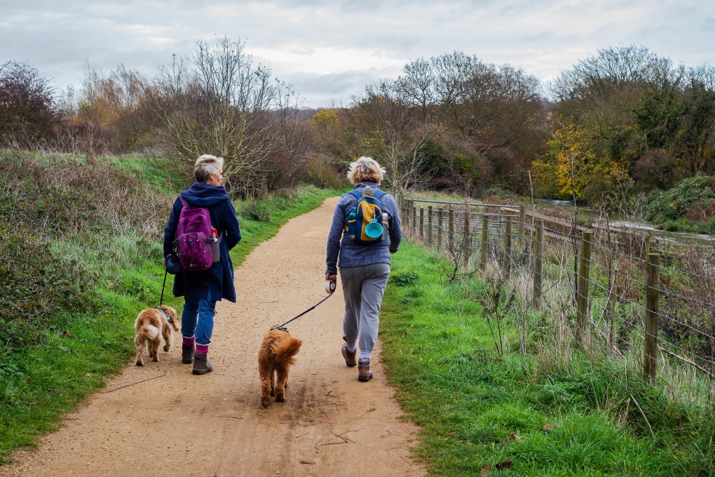 Hikers in Kent, southern England - a far cry from Hong Kong with its subtropical heat and humidity, wild boar and spiders. Photo: Shutterstock