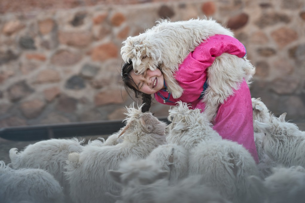 A child plays with a lamb on her family’s ranch in Alxa Left Banner, north China’s Inner Mongolia autonomous region, on April 1, 2020. There’s no need to stress kids with pressure about future careers. Photo: Xinhua