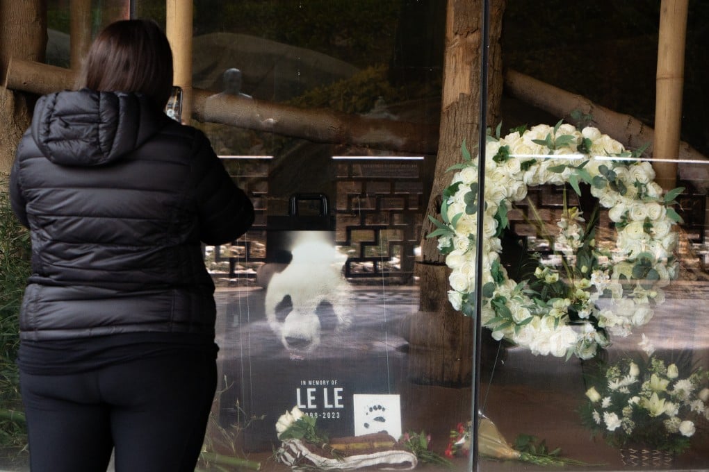 Chinese and American scientists will investigate the cause of death of giant panda Le Le at Memphis Zoo last week. Photo: Xinhua