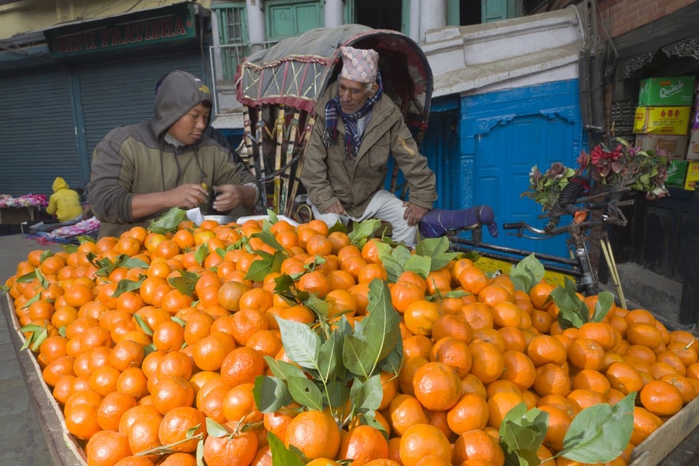 A street vendor sells oranges in Kathmandu, Nepal. Photo: Getty Images