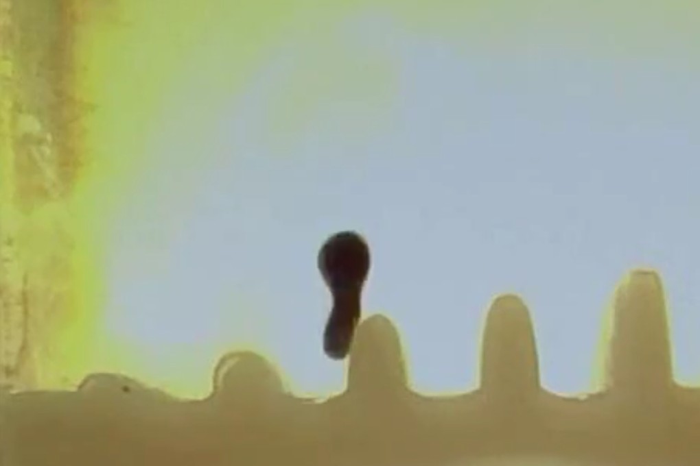 Using an external magnetic field, scientists were able to make the droplets stretch, jump and wobble. Photo: Handout