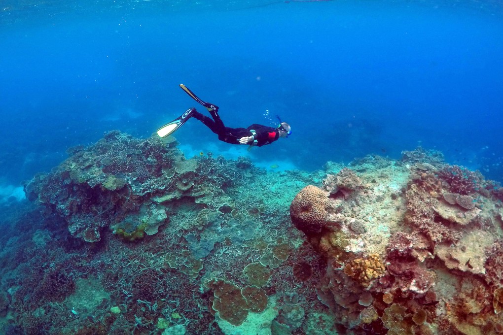 Snorkelling in the Coral Gardens near Lady Elliot Island on the Great Barrier Reef, Queensland, Australia. Photo: Reuters
