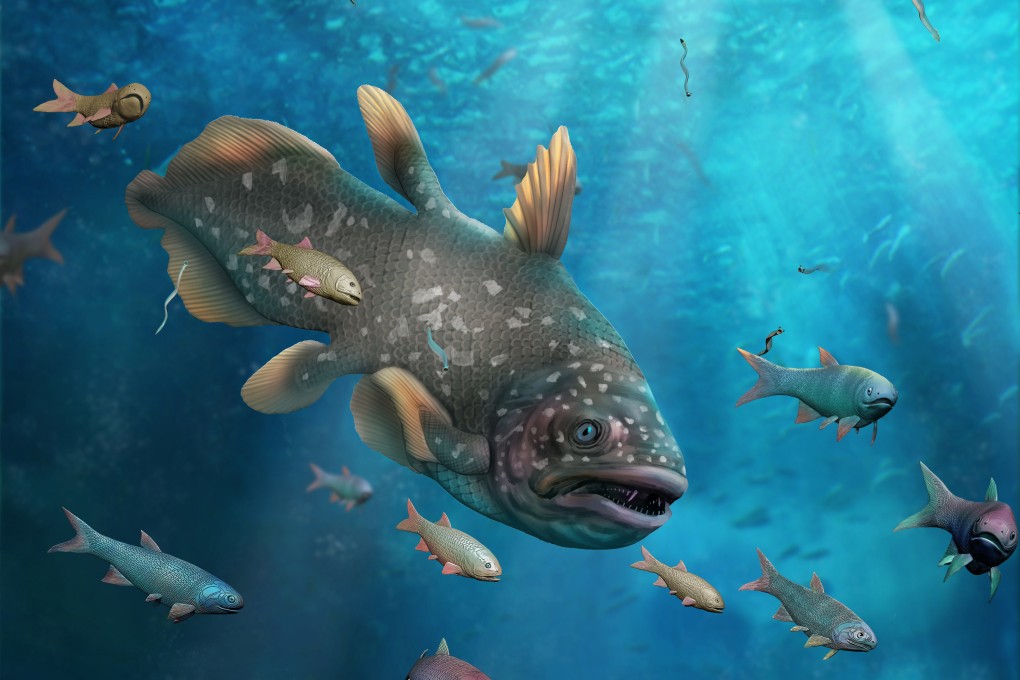 An international team of researchers says life recovered much earlier than thought after the ‘Great Dying’ mass extinction, giving rise to modern marine life. Photo: Dinghua Yang, Haijun Song