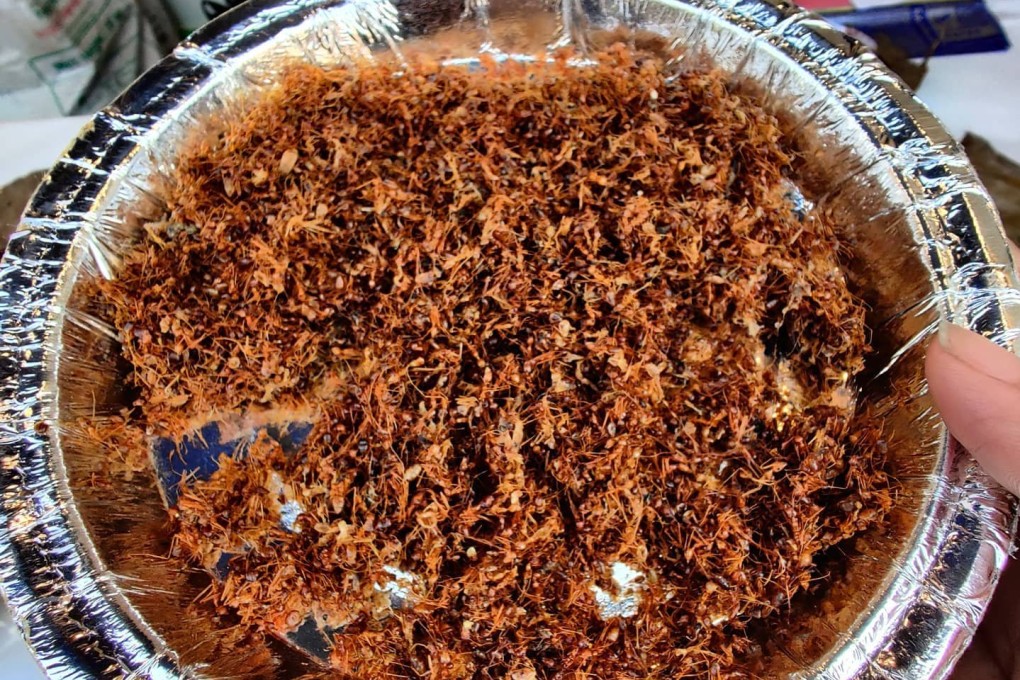 Kai chutney, an Indian tribal staple made from red weaver ants. TV celebrity chef Gordon Ramsay called it “delicious” when he tried it, and one tribe wants a geographical indication tag for the condiment that recognises its unique properties. Photo: Instagram/@citychroniclesby_p