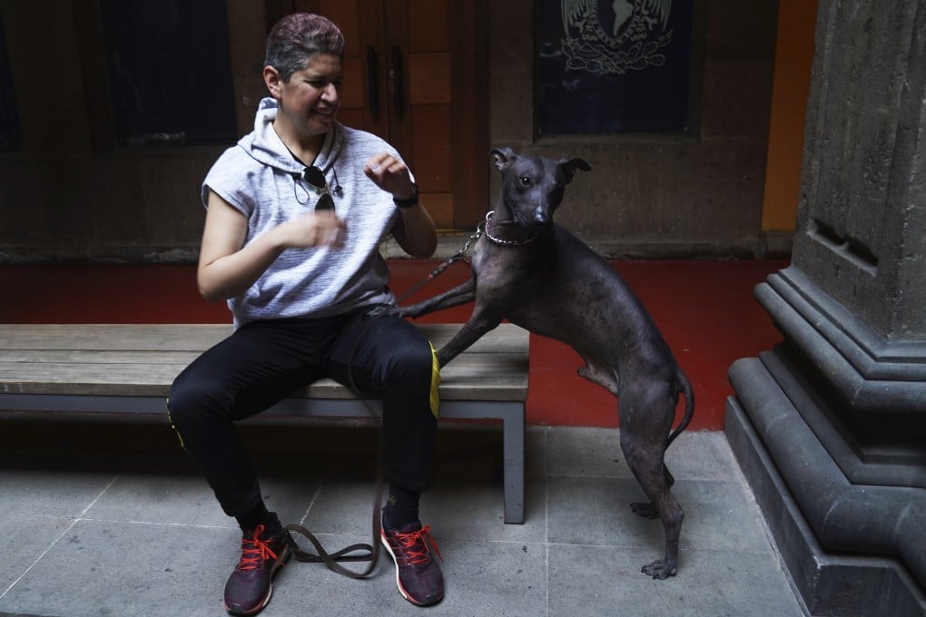 Nemiliz Gutierrez Arroyo sits next to Mezcal, a Xoloitzcuintle breed dog, during a meet-and-greet at a museum in Mexico City. The indigenous Nahua considered the “Xolo” breed to be sacred guides to the underworld. Photo: AP