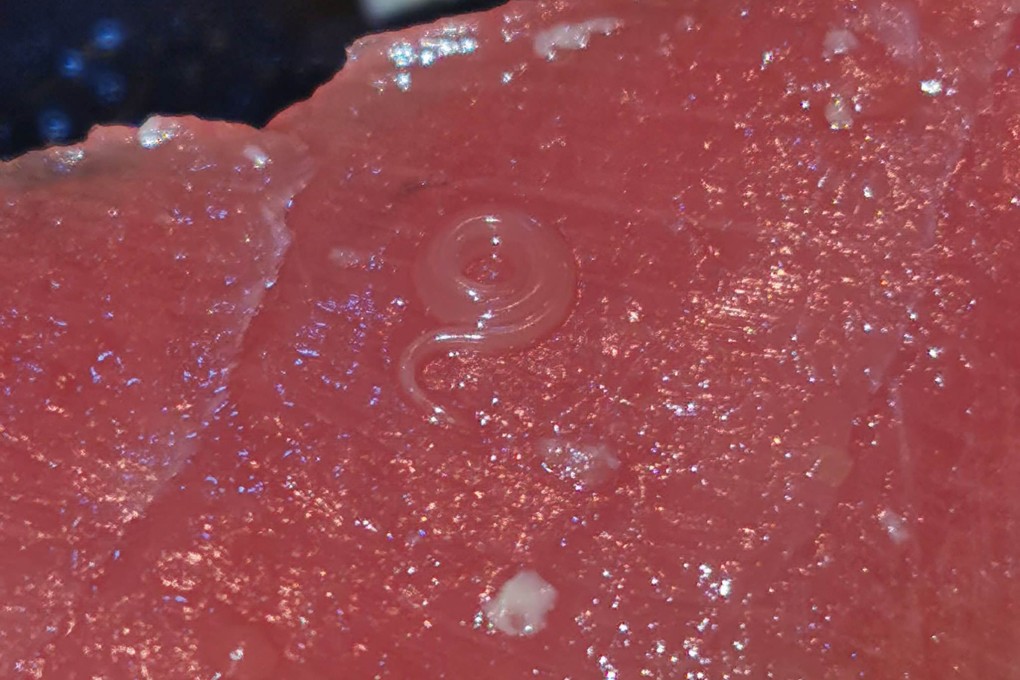 A couple in Singapore found a parasitic worm in their ready-to-eat sashimi rice bowl. Photo: Facebook/Jayice Tan