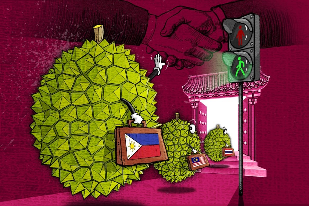 As the world’s biggest market for durian, China is looking to source more of the Southeast Asian fruit from the Philippines. Illustration: Henry Wong