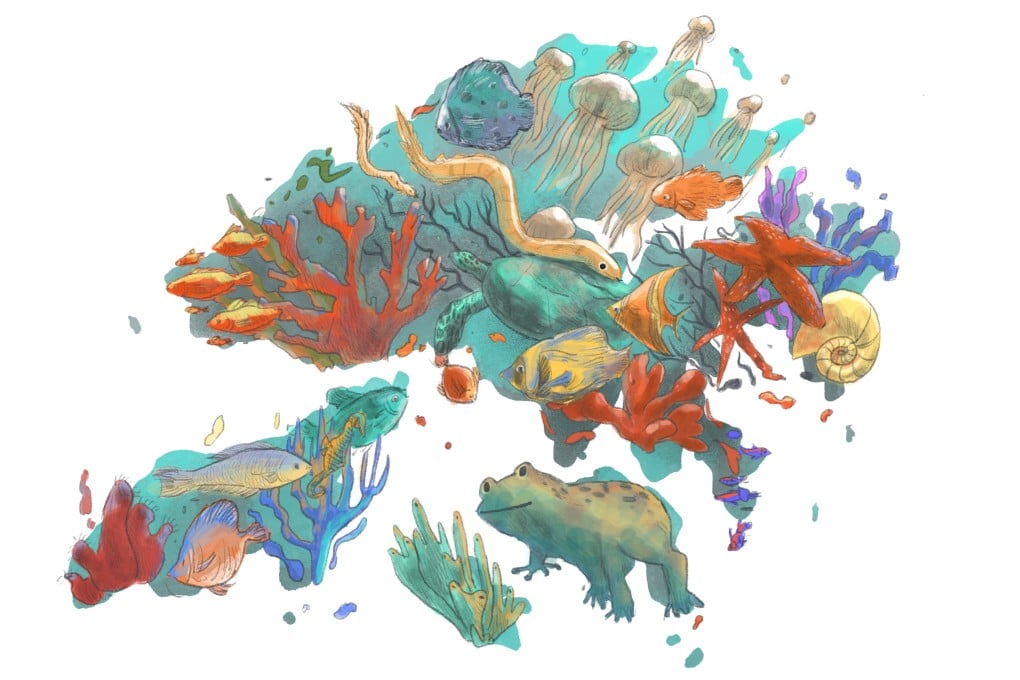 Illustration by Brian Wang