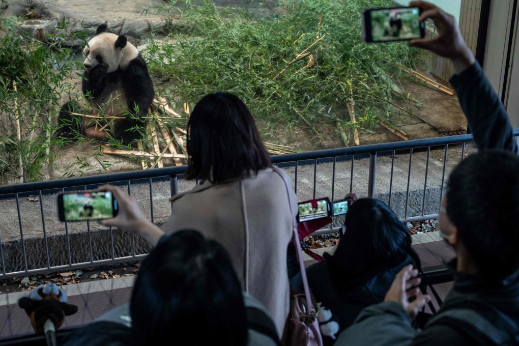 Visitors flocked to Tokyo’s Ueno Zoo to catch a last glimpse of Xiang Xiang, who has been a massive draw for the park since her birth in 2017. Photo: AFP