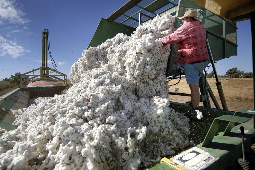 Once the biggest market for Australian cotton, the A$900 million (US$621 million) trade ground to a halt in late 2020 after China imposed a series of official and unofficial restrictions that also hit commodities like coal and timber. Photo: Bloomberg