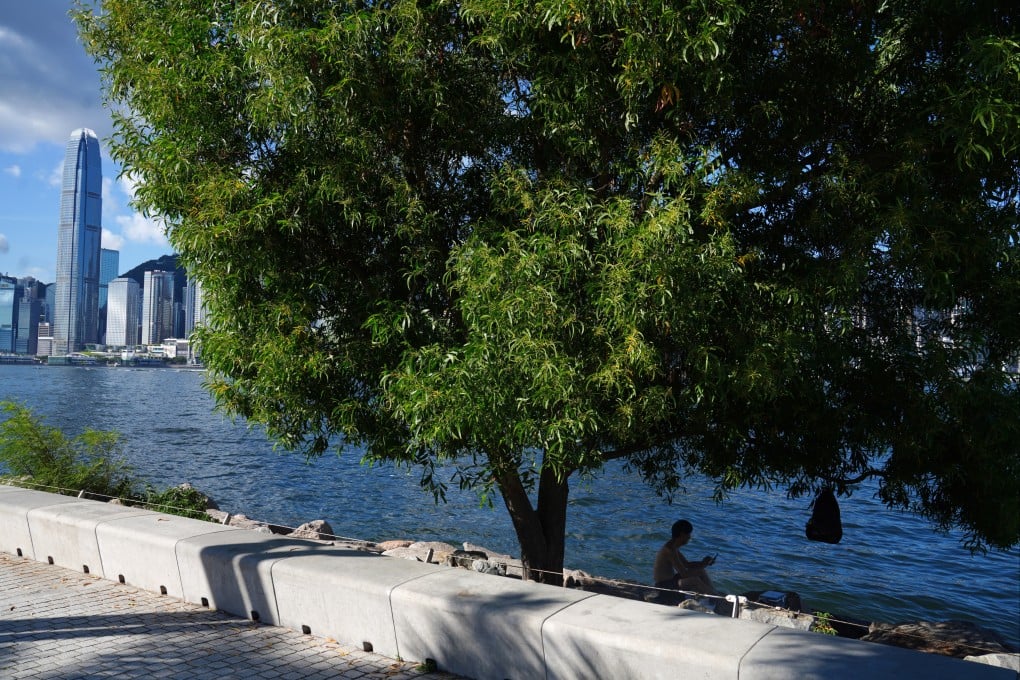 Achelous Pure Metal says it has developed a small-scale prototype, which can absorb the carbon dioxide equivalent of 48 trees in a year, based on its laboratory results. Photo: Sam Tsang