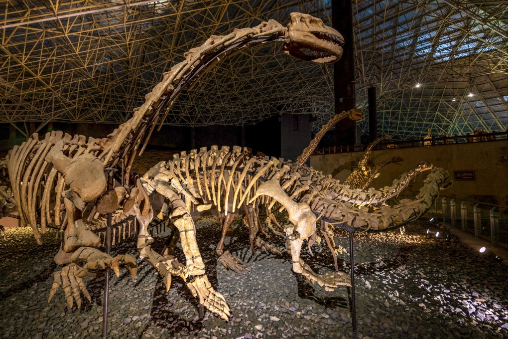 Dinosaurs went extinct tens of millions of years ago; many creatures in the 21st century are also at risk of dying out. Photo: Xinhua
