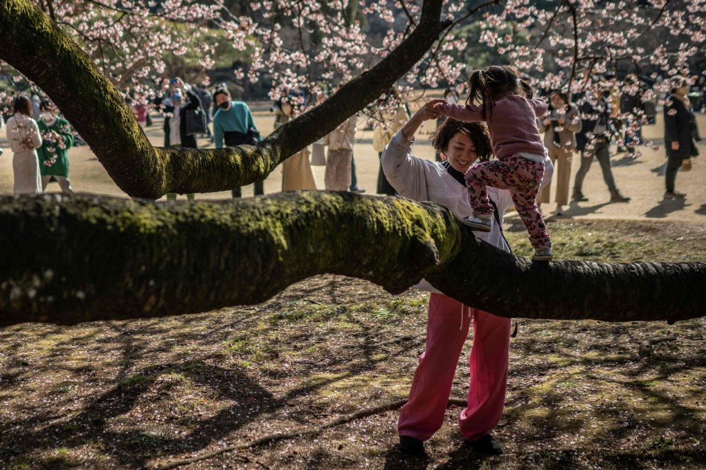 A Japanese mother and child play on a cherry blossom tree in Tokyo last month. Births in Japan declined for the seventh straight year in 2022. Photo: AFP