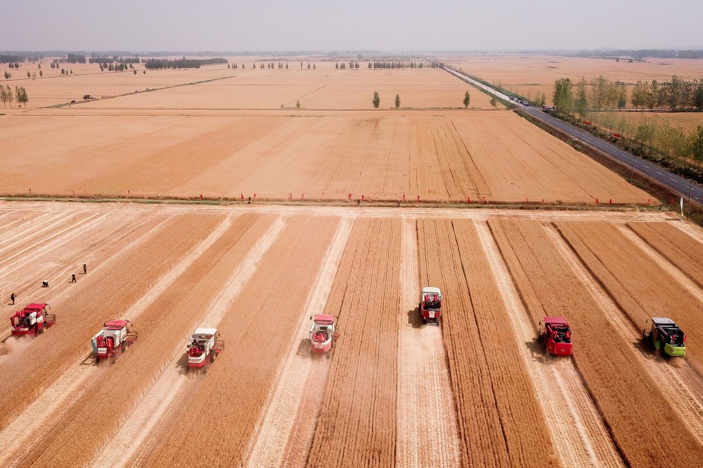 Harvesters reaping wheat fields in Tancheng county, Shandong Province. Photo: Xinhua