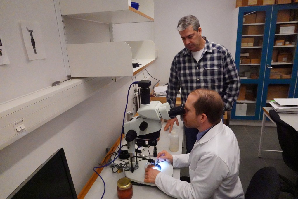 Researchers Mikael Larsson and Brendan Foley examine samples of saffron found after nearly 500 years on the wreck of the Gribshunden, in a laboratory at Lund University in Sweden. Photo: Reuters