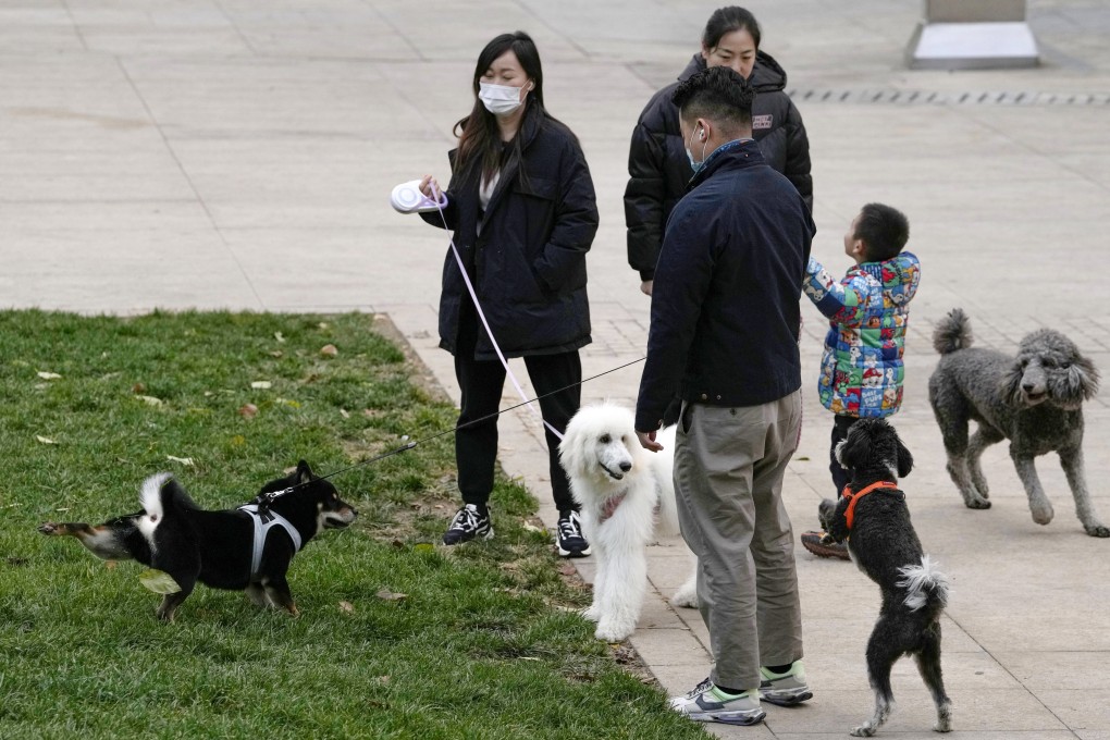 Increasing numbers of Chinese people are keeping pets. Photo: AP