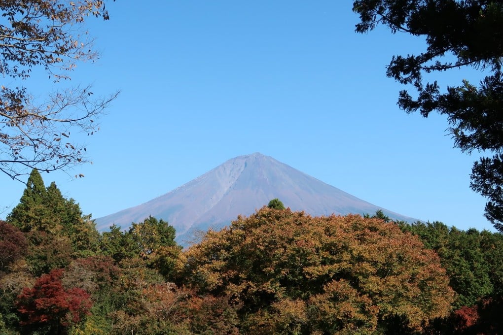 Mount Fuji from the southwest, framed by trees in autumn colours - one of the highlights of self-drive road trip around the extinct volcano. Go in spring and the forests are a verdant green, while in winter they’ll be cloaked in snow. Photo: Julian Ryall