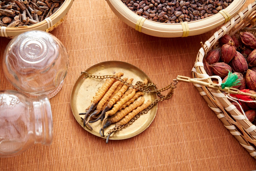 Cordyceps on a scale in a traditional Chinese medicine practitioner’s clinic. The parasitic, bug-eating fungi inspired HBO’s hit zombie series “The Last of Us” and the video game from which it is adapted. Photo: Shutterstock