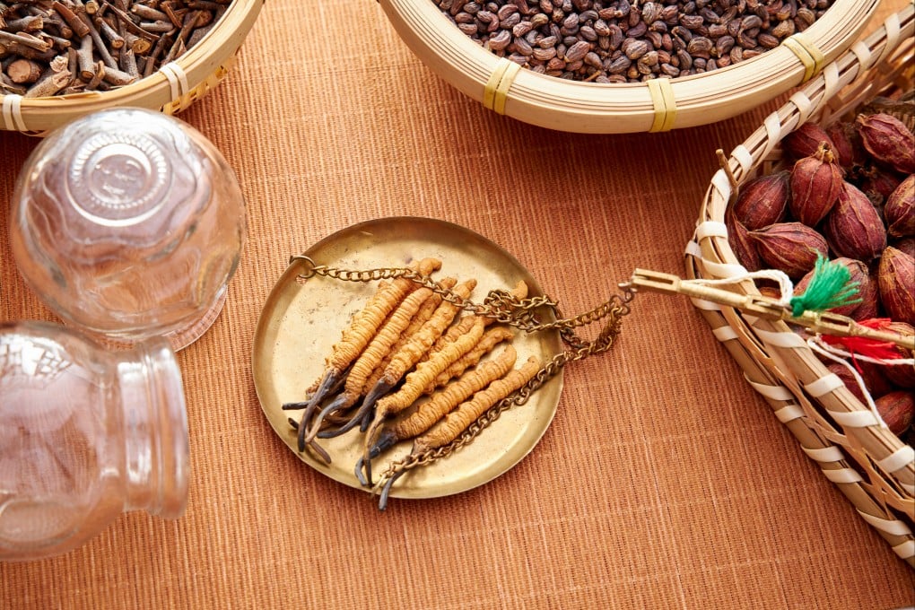 Cordyceps on a scale in a traditional Chinese medicine practitioner’s clinic. The parasitic, bug-eating fungi inspired HBO’s hit zombie series “The Last of Us” and the video game from which it is adapted. Photo: Shutterstock