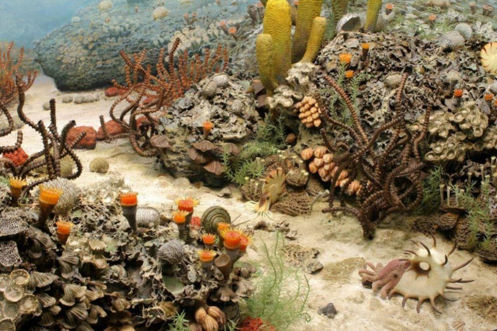 A recreation of the sea floor during the Permian period, before the mass extinction 252 million years ago known as the “Great Dying”. Photo: University of Michigan Museum of Natural History
