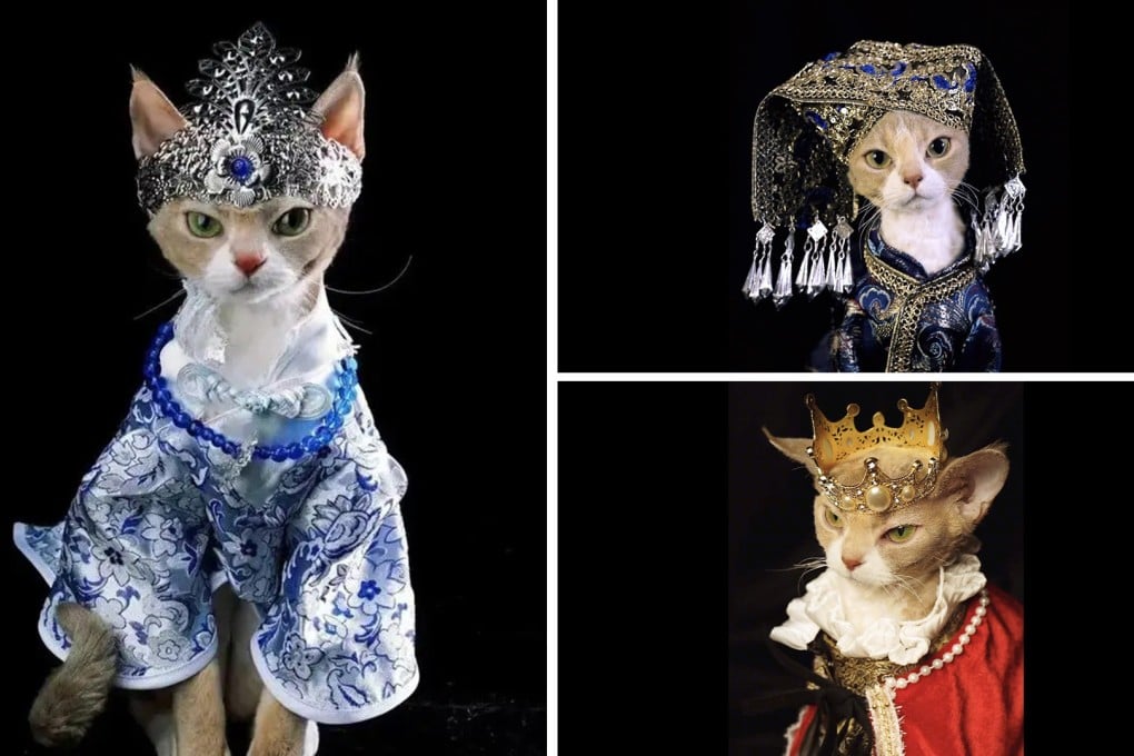 It's so beautiful': Chinese woman dresses pet cat in elaborate handmade costumes, turning feline into social media royalty | South China Morning Post It's so beautiful': Chinese woman dresses pet cat in elaborate handmade costumes, turning feline into social media royalty | South China Morning Post