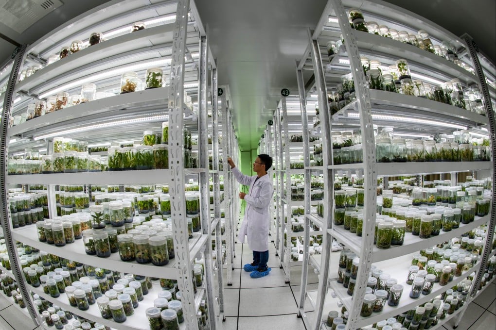 China faces increasing pressure to feed its 1.4 billion people and mounting external uncertainty, says Xi Jinping. Photo: Xinhua