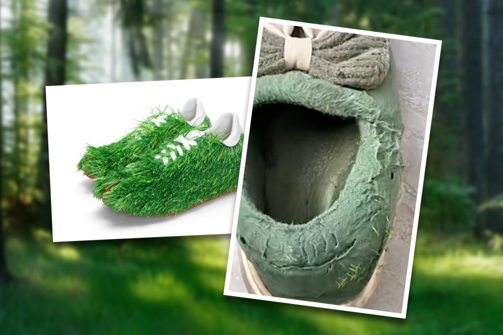 House slippers sprout shoots after husband washes Chinese wife’s pair with water causing awe among millions online. Photo: SCMP composite/handout