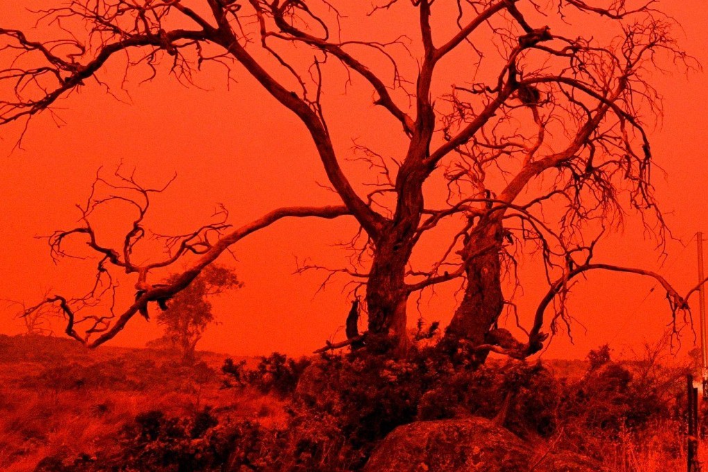 The sky turns red during a bushfire in Australia’s New South Wales. File photo: AFP